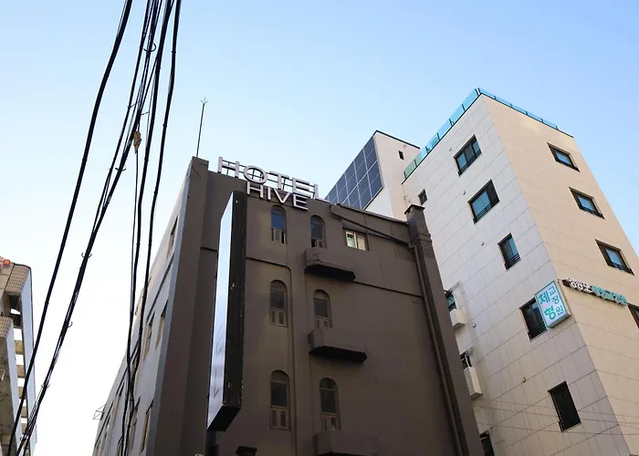 Hive - Formerly Yolo Seoul